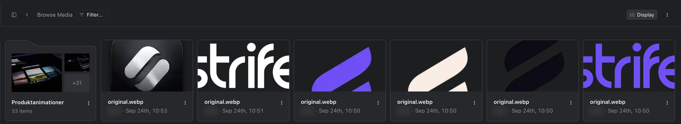 The media library with folders and files, and Display, search, Filter and the upload menu at the top.